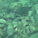 ���� Toryst, �����-���������, 53 ���� - ��������� 9 ����� 2010 � ������ ������������� ������� (��������� ������� ��������)�