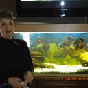 ���� ������, ����������, 52 ���� - ��������� 26 �������� 2011