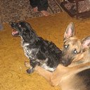 ���� ������, ����� �����, 65 ��� - ��������� 18 ���� 2013 � ������ �����