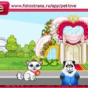 ���� ���������, ������, 49 ��� - ��������� 8 ������ 2011 � ������ �PetLove�