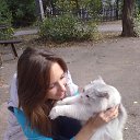 ���� ����, ������, 31 ��� - ��������� 2 ������� 2013 � ������ ���� ����������