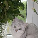 ���� ��� ����, ������, 24 ���� - ��������� 25 ����� 2010 � ������ ���� �����