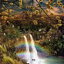 ���� �����, ����� - ��������� 24 ������ 2010 � ������ ��������