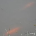 ���� Stealteh, ���������, 28 ��� - ��������� 25 ���� 2012 � ������ �������