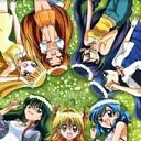 ���� �����, ���� - ��������� 7 ���� 2010 � ������ �������� �������