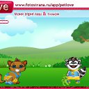  , , 44  -  10  2010   PetLove