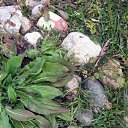 ���� ���������, ���������� - ��������� 23 ������� 2010 � ������ ���� ������