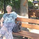 ���� �������, ��������, 66 ��� - ��������� 8 ���� 2013 � ������ ���� ����������