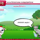  , , 40  -  18  2010   PetLove