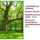 ���������� �� EROOMIR.RU �� ������� ���� ����������