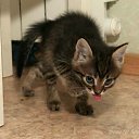 ���� ����� - ���������� ��������!!!, �����������, 56 ��� - ��������� 31 ������� 2009 � ������ �����Ȼ