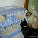 ���� ���� �������., ���������, 42 ���� - ��������� 20 ������ 2010 � ������ ���������� :)))�