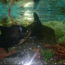 ���� ����, ������, 24 ���� - ��������� 10 ������� 2011 � ������ ������ � ��������� �������.�