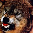 ���� �����, �����-�������� - ��������� 4 �������� 2012 � ������ �� ���� � ���� ������� ���.�