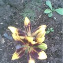 ���� Vlad, ������ - ��������� 1 ���� 2011 � ������ ��������