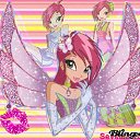 ���� �����, ����������, 28 ��� - ��������� 28 ������� 2011 � ������ ������