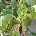 ���� ����, �������� ������ - ��������� 15 ������� 2011 � ������ ��������