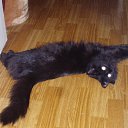 ���� ������, ����������, 25 ��� - ��������� 1 ���� 2011 � ������ ���� ����� ������)))�