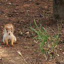 ���� ���������, ���������, 59 ��� - ��������� 10 ������ 2012 � ������ �������