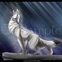 ���� ����, ������, 25 ��� - ��������� 17 ������ 2010 � ������ ���� ����������