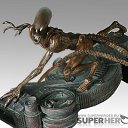  Xenomorph, , 53  -  4  2010   AVP