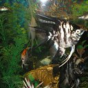 ���� ����, ������ - ��������� 22 ������� 2012 � ������ ���� ��������� �� ���������� �����!!!�