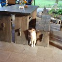 ���� Sergej, ��������, 67 ��� - ��������� 6 ����� 2012 � ������ ���� ����������