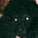 � ����� ����, ��� ������
��������� ����� �� �����...
����� ������� ���� ������
��� ���� ����� �� ���.
����� ���� ������ �������, 
����� ������� ��������, 
�������� � ����������� �������� 
����� �������, ��� �� ����... 
����� ������ ��������� ���� 
����� �������� ����� ����, 
������� �������� ���� 
��� ������ ������ ���. 
� ���� ���, � ��� ��������, 
�� ��� ������ � ������, 
��� �������� � ��� ����������� 
��������� ������� �� ���. 
��� ������� ������� ���� � ������ 2011 ����... �� ������� ���� ����������