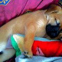 ���� Blayz, �������, 52 ���� - ��������� 22 ���� 2010 � ������ �������
