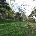 ���� ����, ������, 47 ��� - ��������� 1 ��� 2011 � ������ ���