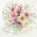 ���� ����� - ���������� ��������!!!, �����������, 56 ��� - ��������� 16 ������ 2010 � ������ ������ۻ