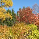 ���� ���, �����, 41 ��� - ��������� 16 ����� 2010