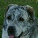 ���� ����, �����-���������, 68 ��� - ��������� 1 ������� 2012