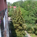 ���� ����, �����-��������� - ��������� 31 ����� 2012 � ������ �������