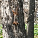 ���� �����, ���������, 60 ��� - ��������� 10 ��� 2011 � ������ �� �...�