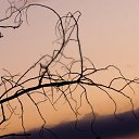 ���� ������, ������, 45 ��� - ��������� 11 ����� 2009 � ������ �������