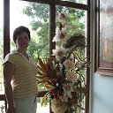 ���� �������, ���������, 64 ���� - ��������� 4 �������� 2012 � ������ ���� ����������