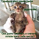 ���� �����, ������������ - ��������� 17 ���� 2010 � ������ ��������