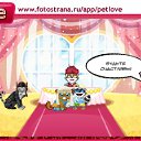  ~~, , 31  -  12  2011   PetLove