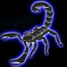 ���� ���������, ������ - ��������� 28 ������� 2013