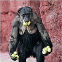 ������� ����....
 �� ������� ������� �������