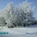 ���� �����, �����������, 58 ��� - ��������� 6 ������� 2012 � ������ �������