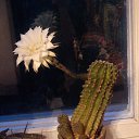 ���� ������� ��������, ������, 39 ��� - ��������� 22 �������� 2012