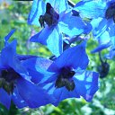  , -, 40  -  16  2011     