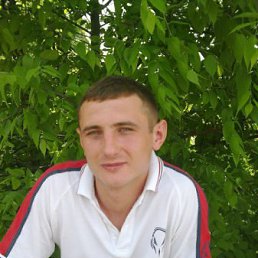 ������� �������, ���������, 41 ���