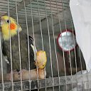 ���� ��������, �����-���������, 37 ��� - ��������� 9 ������� 2012 � ������ ������������