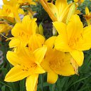 ���� �������, ��������, 59 ��� - ��������� 3 ���� 2012 � ������ ���� ����������