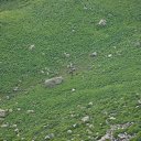 ���� Dj Haker, ����, 32 ���� - ��������� 1 ����� 2010 � ������ ������� �����-2�