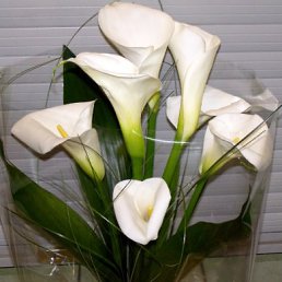 ���� �..., ����������� - ��������� 24 ��� 2013