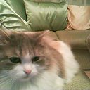 ���� Mrbublzzz, �������-���������, 30 ��� - ��������� 30 �������� 2011